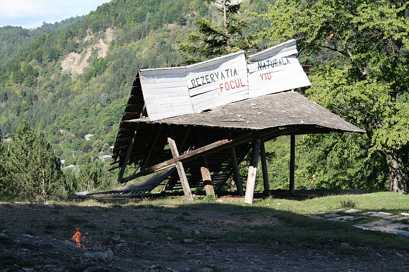 Original image